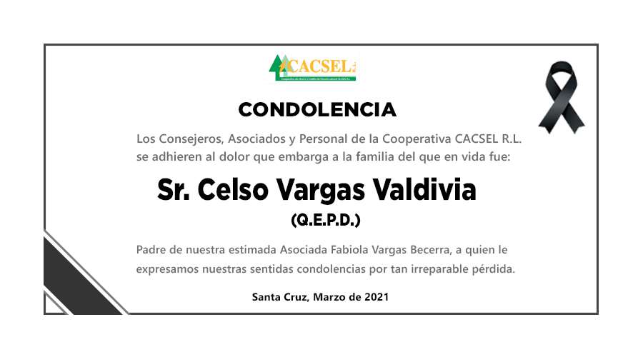 Sr. Celso Vargas Valdivia