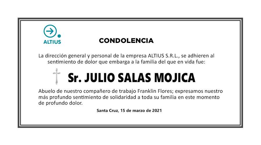 SR. JULIO SALAS MOJICA